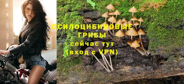 a pvp Верея