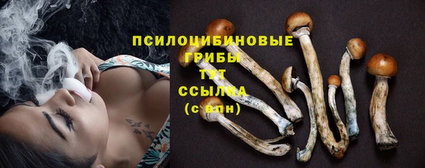 a pvp Верея