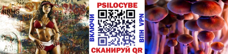 Галлюциногенные грибы Magic Shrooms  OMG ссылки  Стерлитамак  магазин продажи наркотиков 